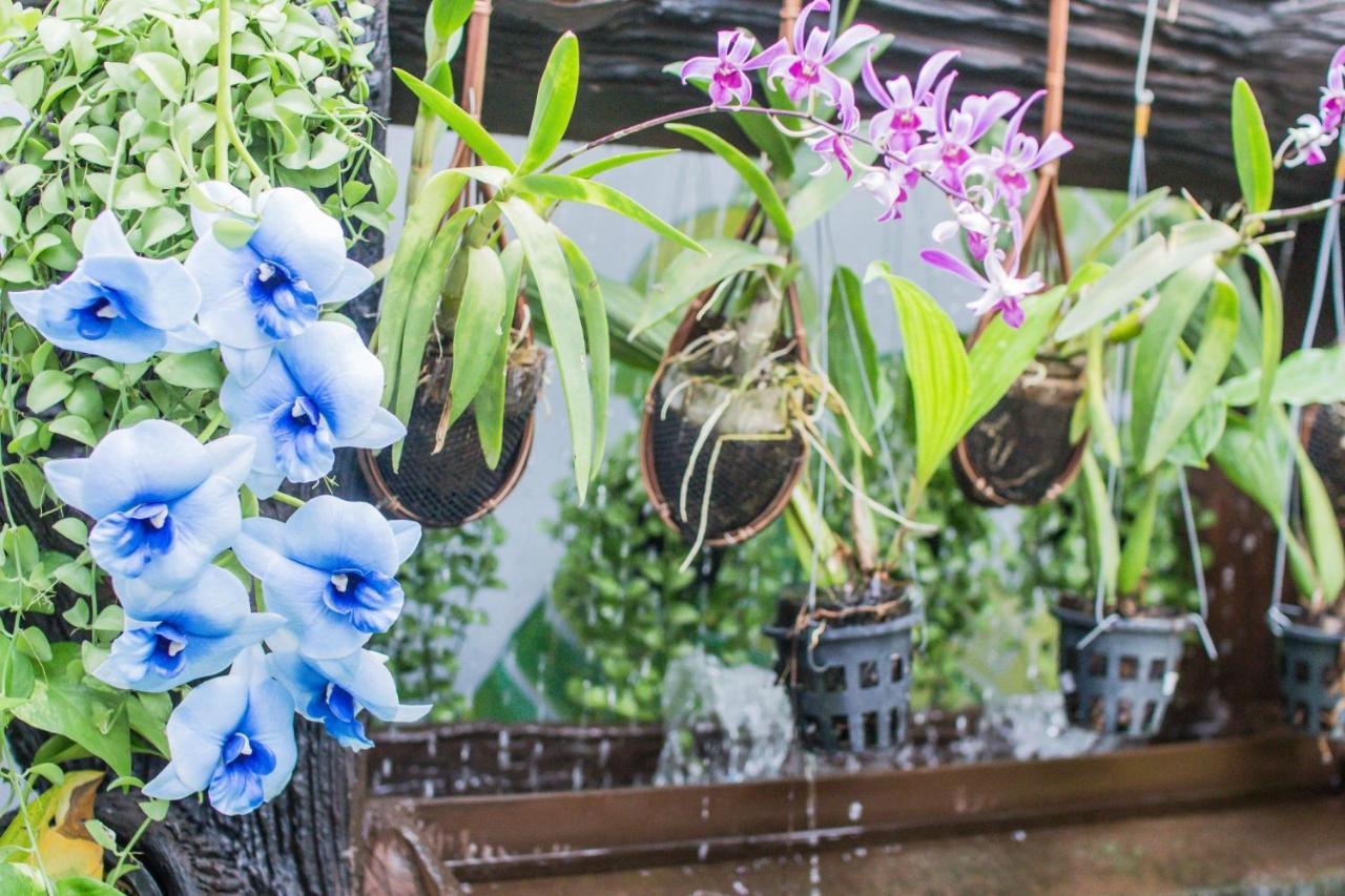 Villa Siam & Spa 방콕 외부 사진
